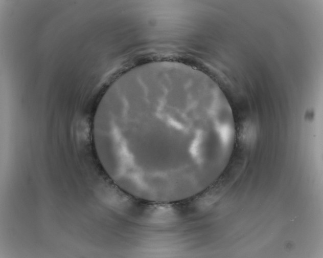 X0000091350715200709071238