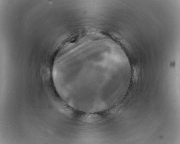 X0000091350716200709071238