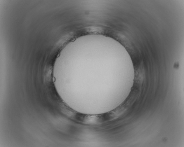 X0000091350717200709071238