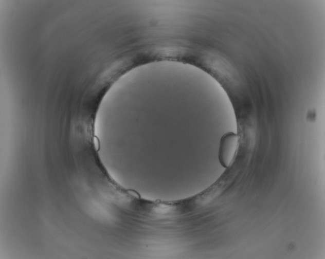 X0000091350718200709071238