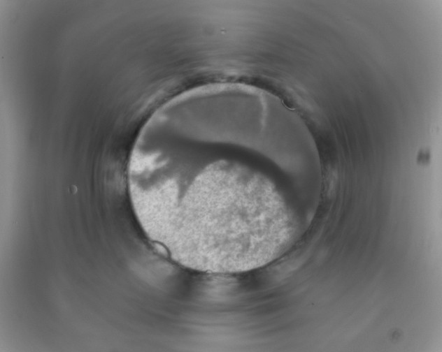 X0000091350719200709071238