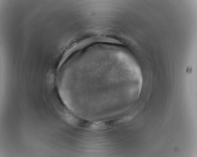 X0000091350720200709071238
