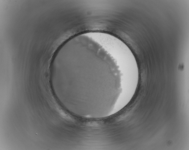 X0000091350721200709071238