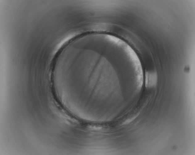 X0000091350723200709071238
