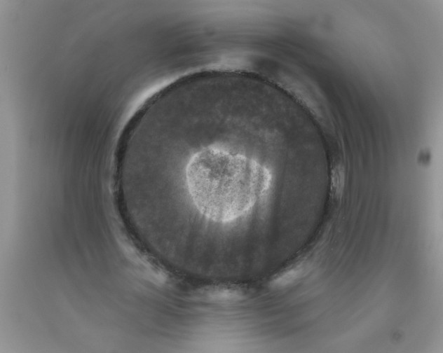 X0000091350724200709071238