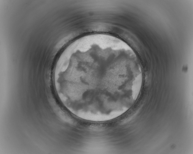 X0000091350725200709071238