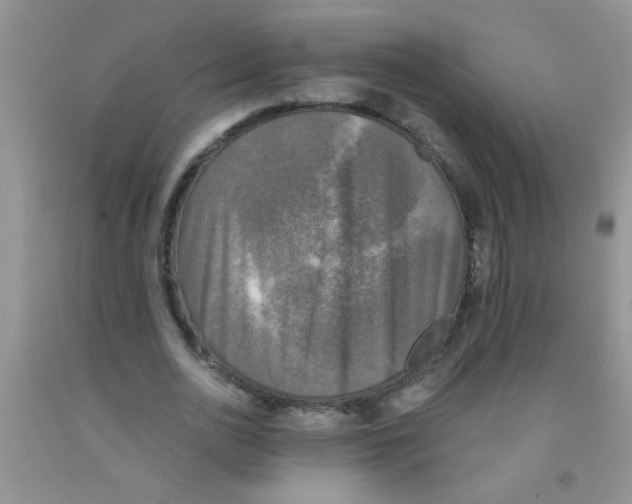 X0000091350726200709071238