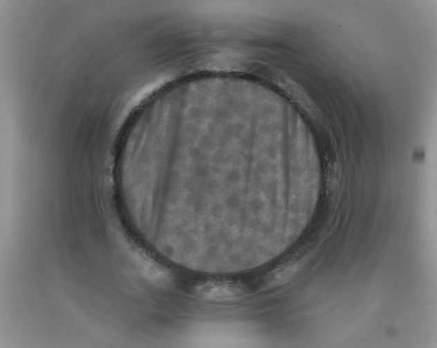 X0000091350727200709071238