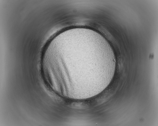X0000091350728200709071238