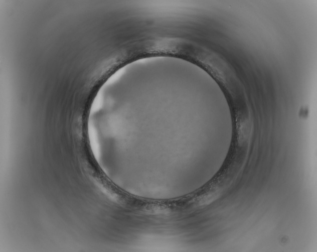 X0000091350729200709071238