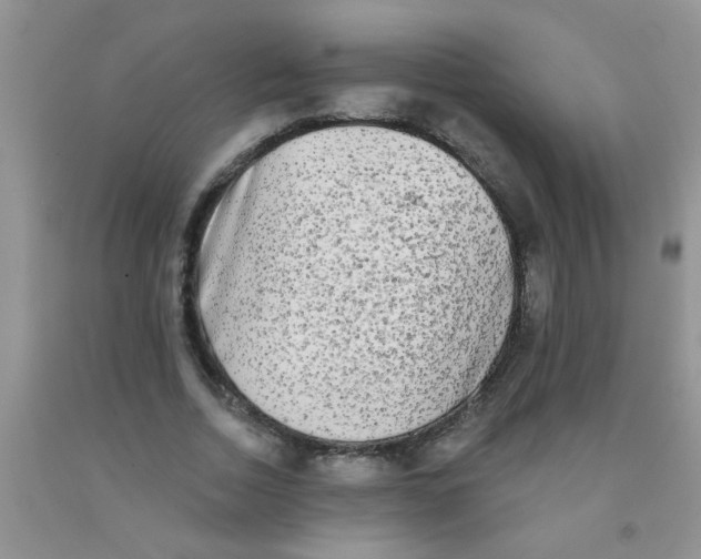 X0000091350730200709071238