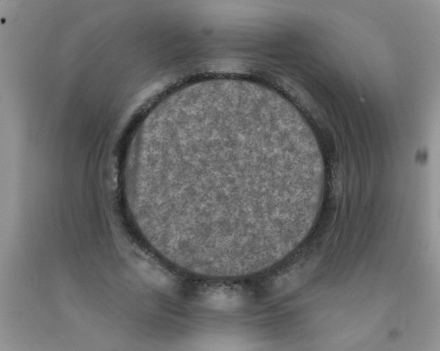 X0000091350731200709071238