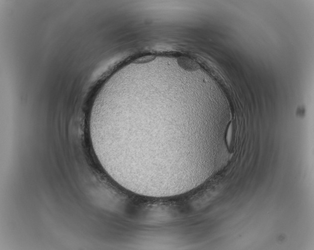X0000091350732200709071238