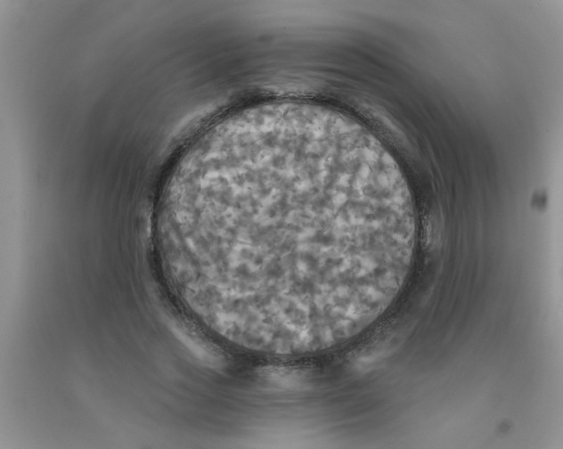 X0000091350733200709071238