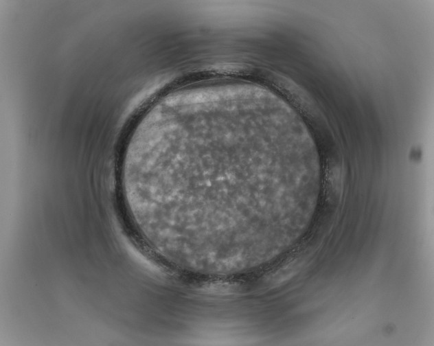 X0000091350734200709071238