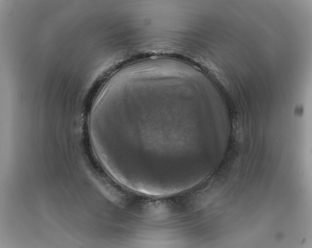 X0000091350735200709071238