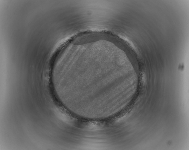 X0000091350736200709071238