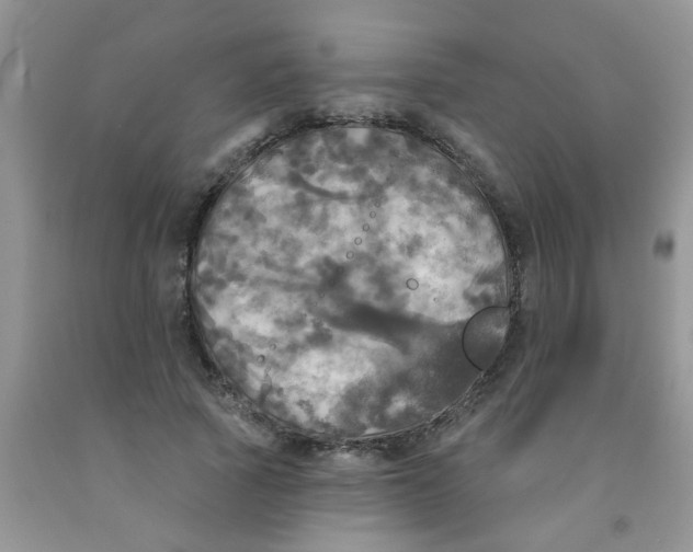 X0000091350737200709071238