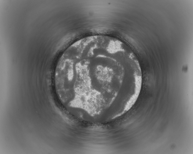 X0000091350738200709071238