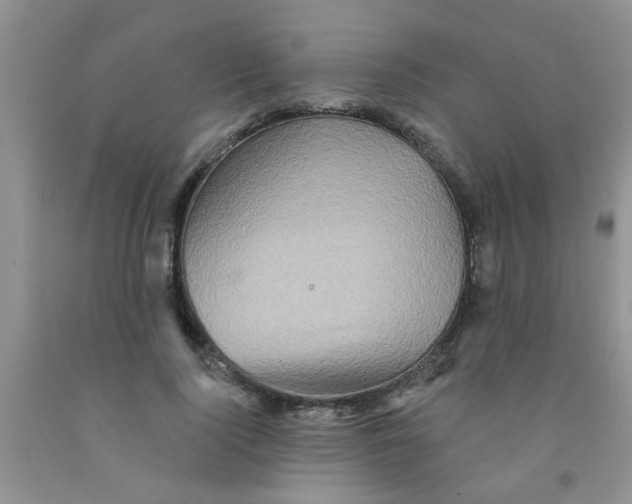 X0000091350740200709071238