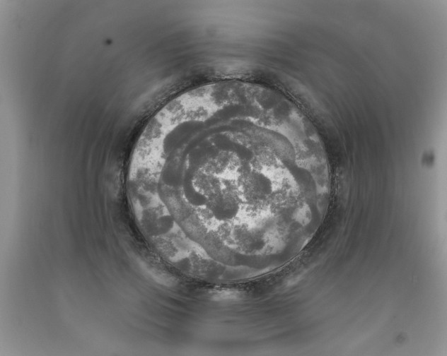 X0000091350741200709071238