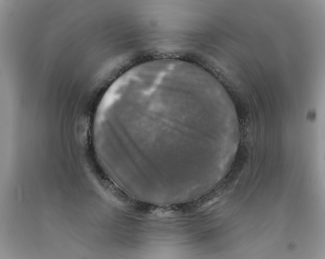X0000091350742200709071238