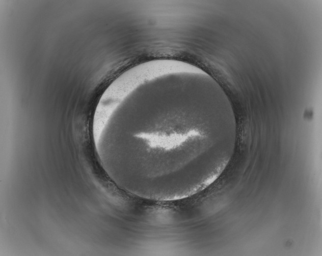 X0000091350743200709071238