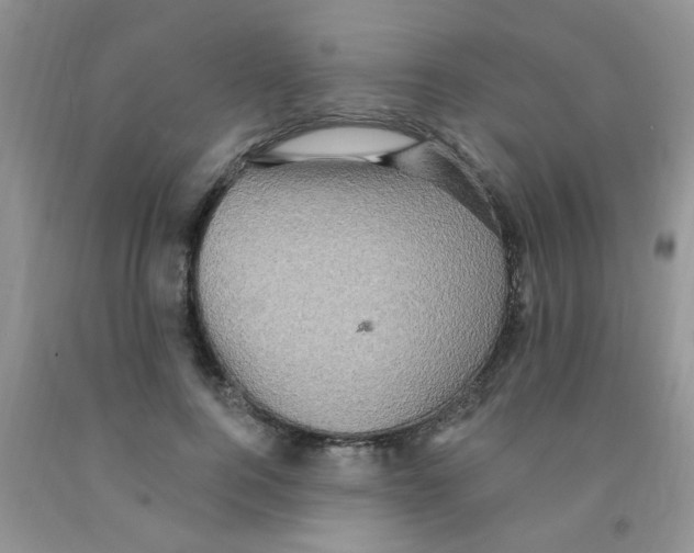 X0000091350744200709071238