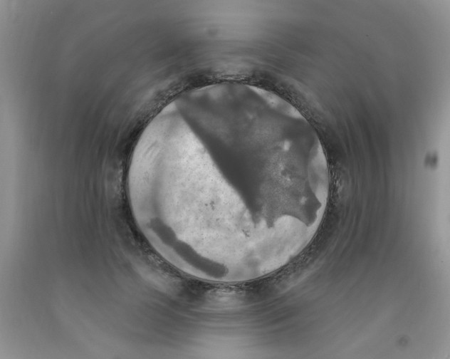 X0000091350745200709071238