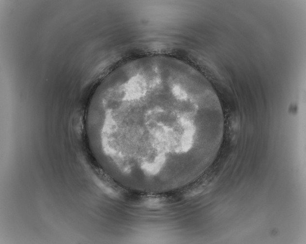 X0000091350746200709071238