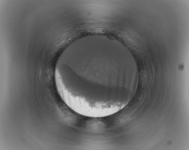 X0000091350747200709071238