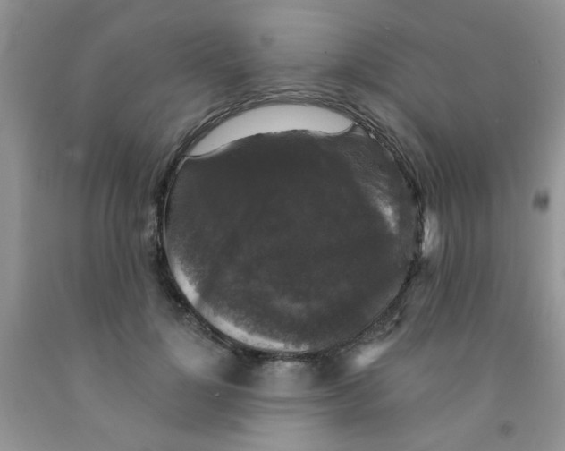 X0000091350748200709071238