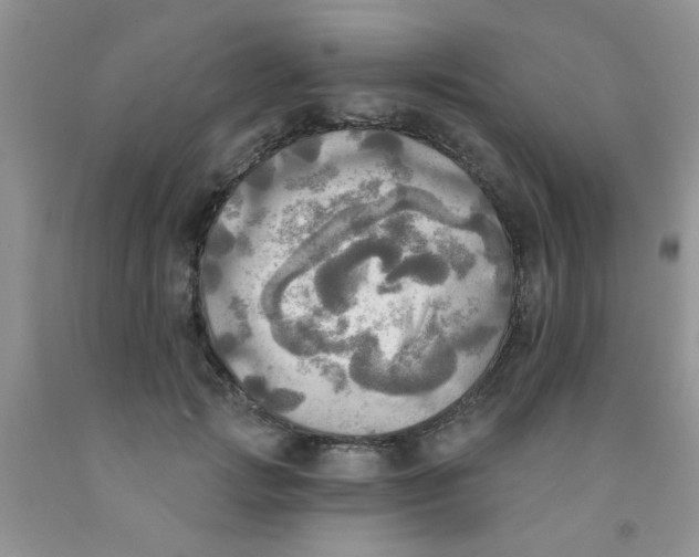 X0000091350749200709071238