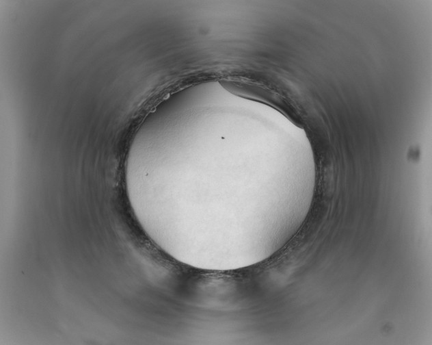 X0000091350750200709071238