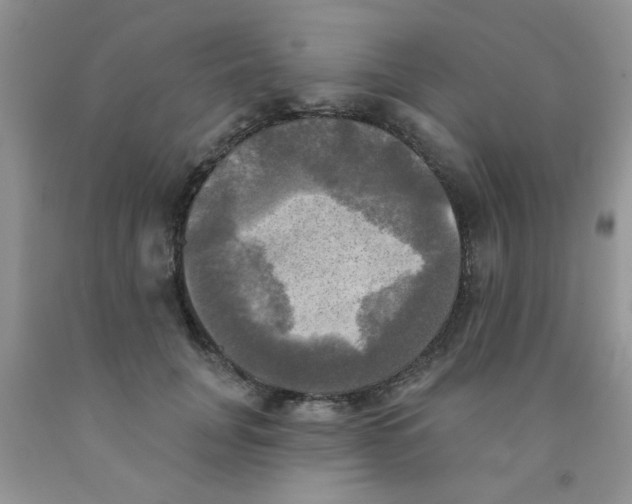 X0000091350751200709071238