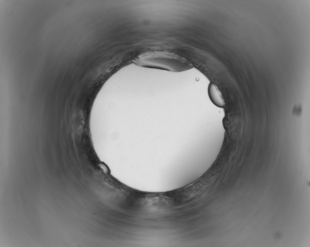 X0000091350752200709071238