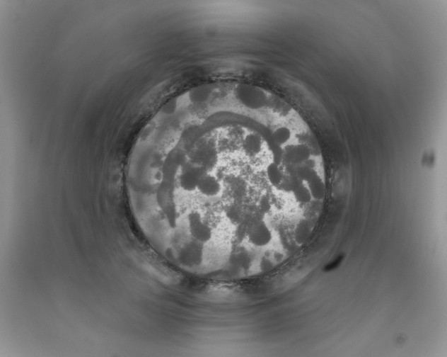 X0000091350753200709071238