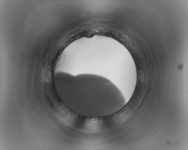 X0000091350754200709071238