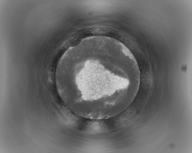 X0000091350755200709071238