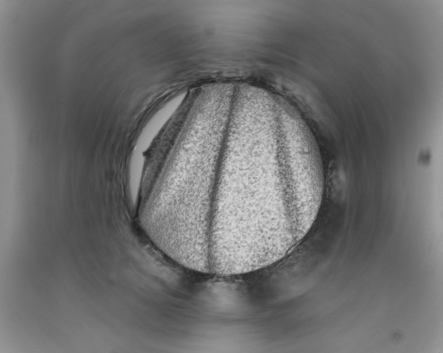 X0000091350756200709071238