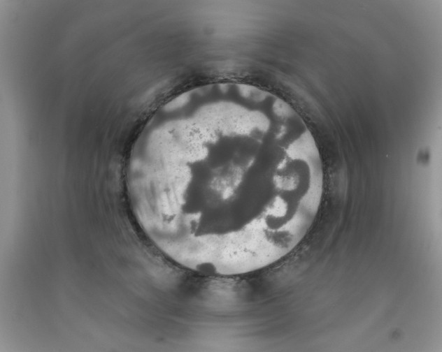 X0000091350757200709071238