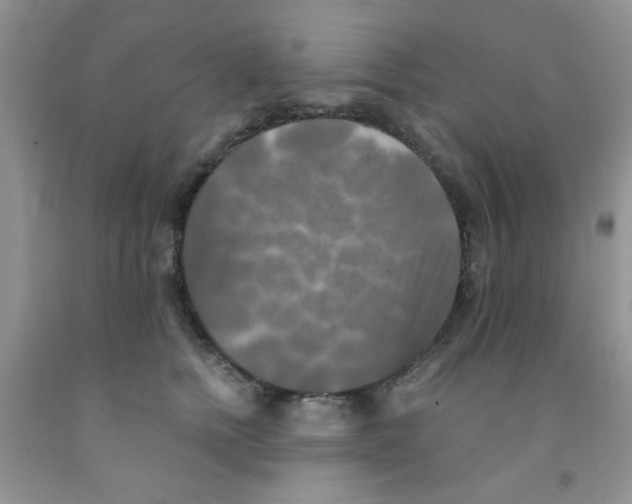 X0000091350758200709071238