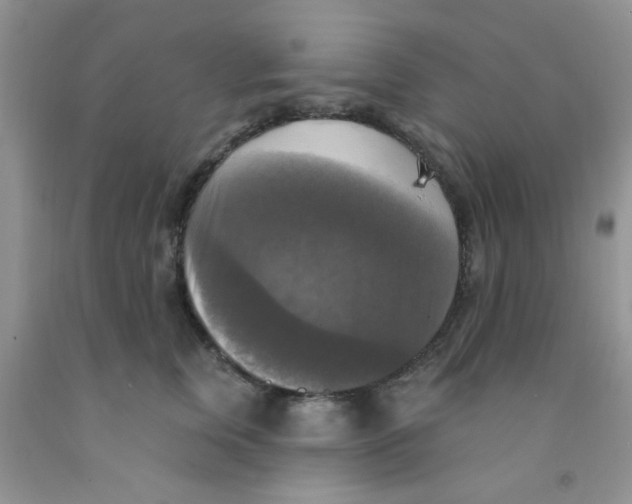 X0000091350759200709071238