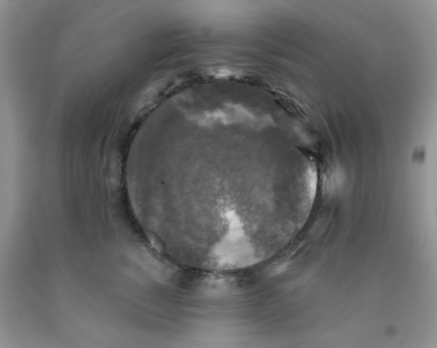 X0000091350760200709071238
