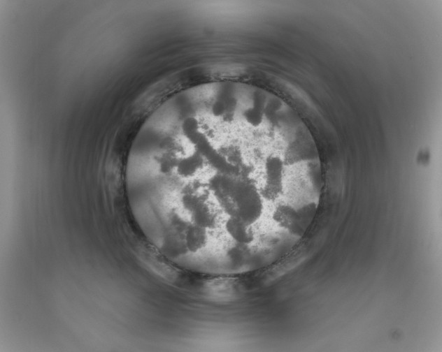 X0000091350761200709071238