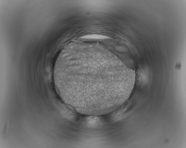 X0000091350762200709071238