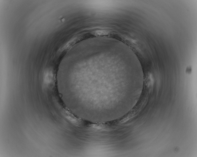 X0000091350763200709071238