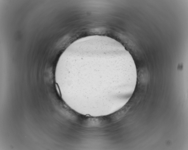 X0000091350764200709071238