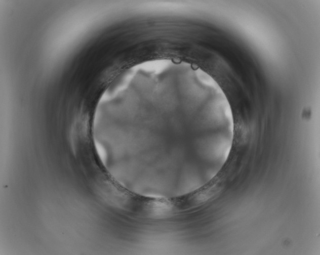 X0000091350765200709071238