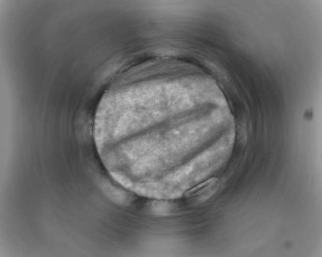X0000091350766200709071238